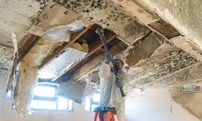 Best Residential Mold Inspection & Testing  in South Fulton, GA